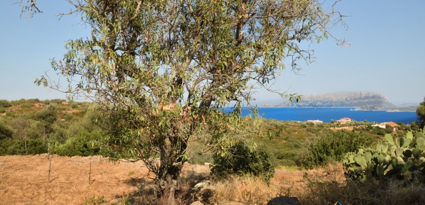 Sea View Stazzu For Sale Olbia Sardinia ref. Muriscu 2