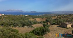 Panoramic View Farmhouse For Sale Olbia Sardinia ref.Muriscu 1