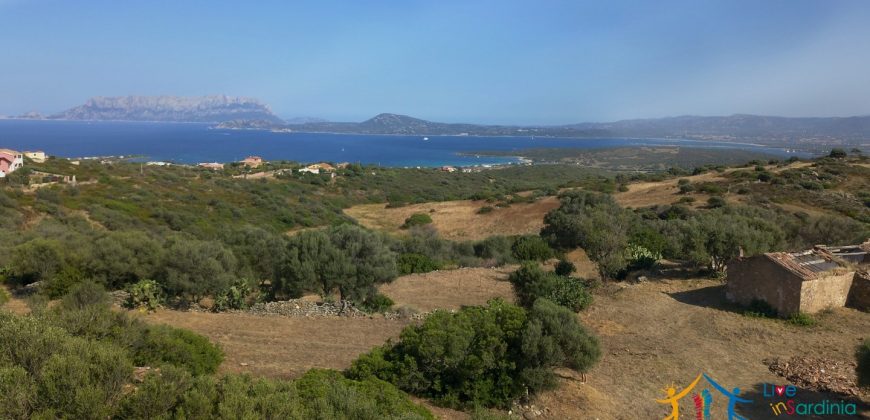 Panoramic View Farmhouse For Sale Olbia Sardinia ref.Muriscu 1