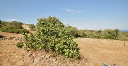 Panoramic View Farmhouse For Sale Olbia Sardinia ref.Muriscu 1