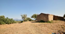 Panoramic View Farmhouse For Sale Olbia Sardinia ref.Muriscu 1