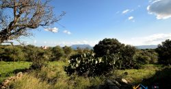 Sea View Stazzu For Sale Olbia Sardinia ref. Muriscu 2