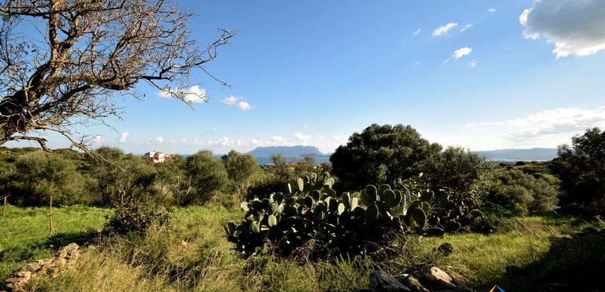 Sea View Stazzu For Sale Olbia Sardinia ref. Muriscu 2