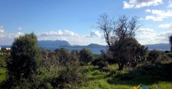 Sea View Stazzu For Sale Olbia Sardinia ref. Muriscu 2