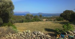 Sea View Stazzu For Sale Olbia Sardinia ref. Muriscu 2