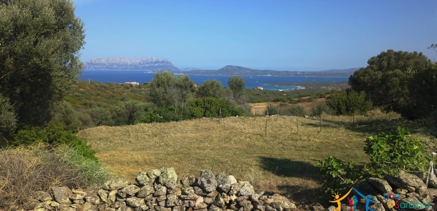 Sea View Stazzu For Sale Olbia Sardinia ref. Muriscu 2