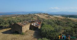 Panoramic View Farmhouse For Sale Olbia Sardinia ref.Muriscu 1