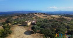 Panoramic View Farmhouse For Sale Olbia Sardinia ref.Muriscu 1