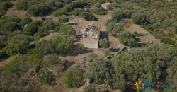 Panoramic View Farmhouse For Sale Olbia Sardinia ref.Muriscu 1