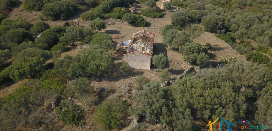 Panoramic View Farmhouse For Sale Olbia Sardinia ref.Muriscu 1