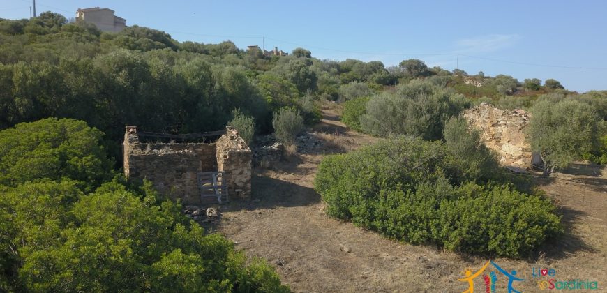 Panoramic View Farmhouse For Sale Olbia Sardinia ref.Muriscu 1