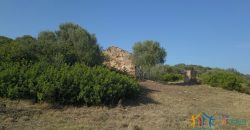 Panoramic View Farmhouse For Sale Olbia Sardinia ref.Muriscu 1