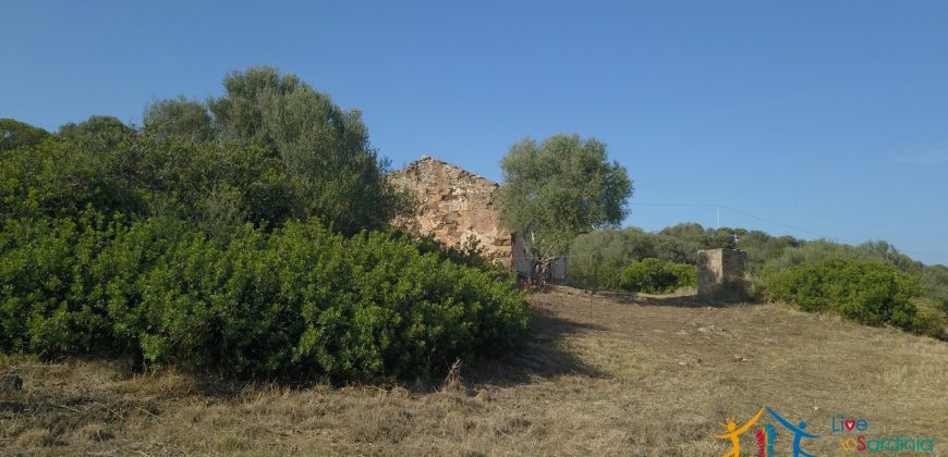 Panoramic View Farmhouse For Sale Olbia Sardinia ref.Muriscu 1