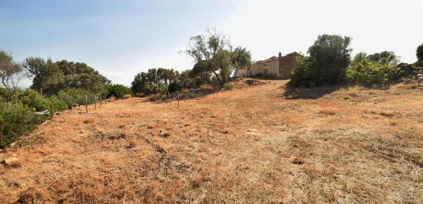 Panoramic View Farmhouse For Sale Olbia Sardinia ref.Muriscu 1