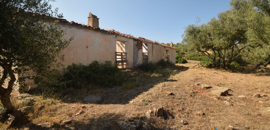 Panoramic View Farmhouse For Sale Olbia Sardinia ref.Muriscu 1