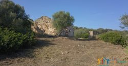 Panoramic View Farmhouse For Sale Olbia Sardinia ref.Muriscu 1