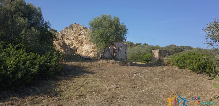 Panoramic View Farmhouse For Sale Olbia Sardinia ref.Muriscu 1