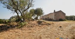 Panoramic View Farmhouse For Sale Olbia Sardinia ref.Muriscu 1