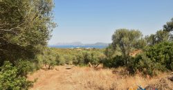 Panoramic View Farmhouse For Sale Olbia Sardinia ref.Muriscu 1