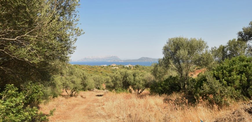 Panoramic View Farmhouse For Sale Olbia Sardinia ref.Muriscu 1