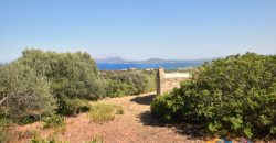 Panoramic View Farmhouse For Sale Olbia Sardinia ref.Muriscu 1