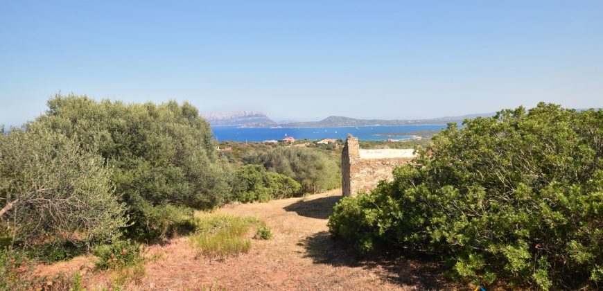 Panoramic View Farmhouse For Sale Olbia Sardinia ref.Muriscu 1