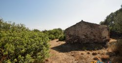 Panoramic View Farmhouse For Sale Olbia Sardinia ref.Muriscu 1