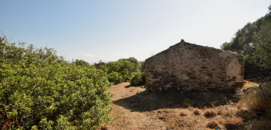 Panoramic View Farmhouse For Sale Olbia Sardinia ref.Muriscu 1