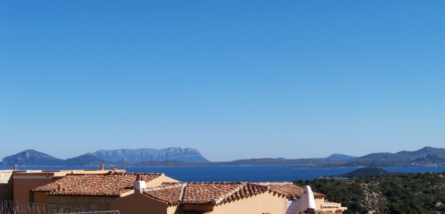 Houses For Sale Porto Cervo Sardinia ref V1006-A2