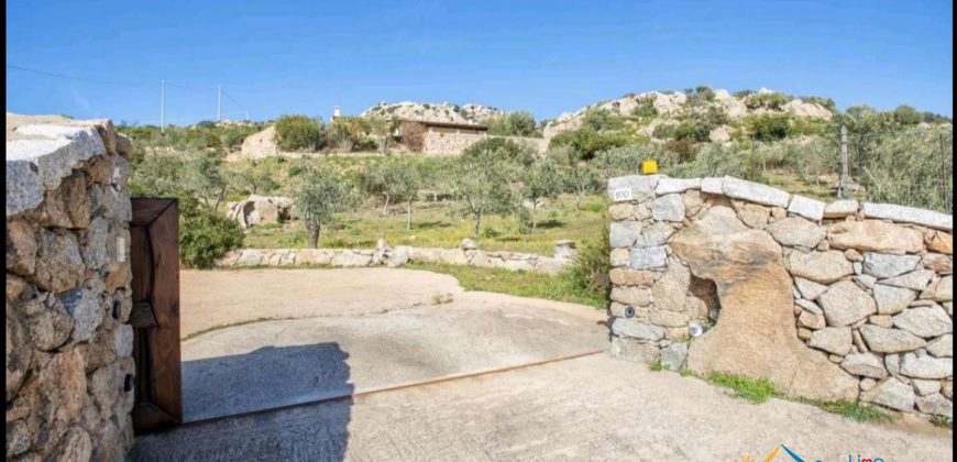 Panoramic Property For Sale Olbia Sardinia ref.Sofia