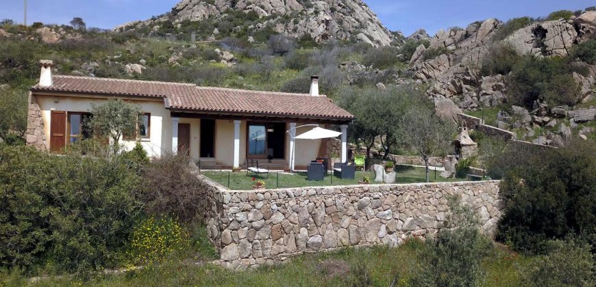 Panoramic Property For Sale Olbia Sardinia ref.Sofia