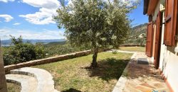 Panoramic Property For Sale Olbia Sardinia ref.Sofia