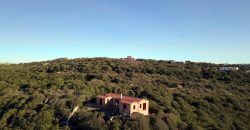 Villa For Sale In Sardinia Ref Fioredda