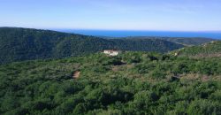 Villa For Sale In Sardinia Ref Fioredda