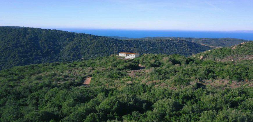 Villa For Sale In Sardinia Ref Fioredda