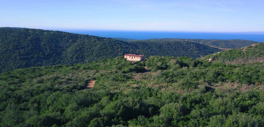 Villa For Sale In Sardinia Ref Fioredda