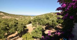 Sea View Villa For Sale In San Pantaleo Sardinia ref.Aglientina