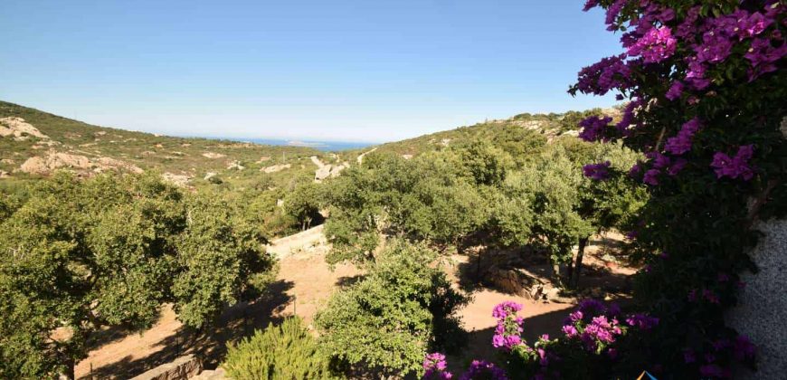 Sea View Villa For Sale In San Pantaleo Sardinia ref.Aglientina