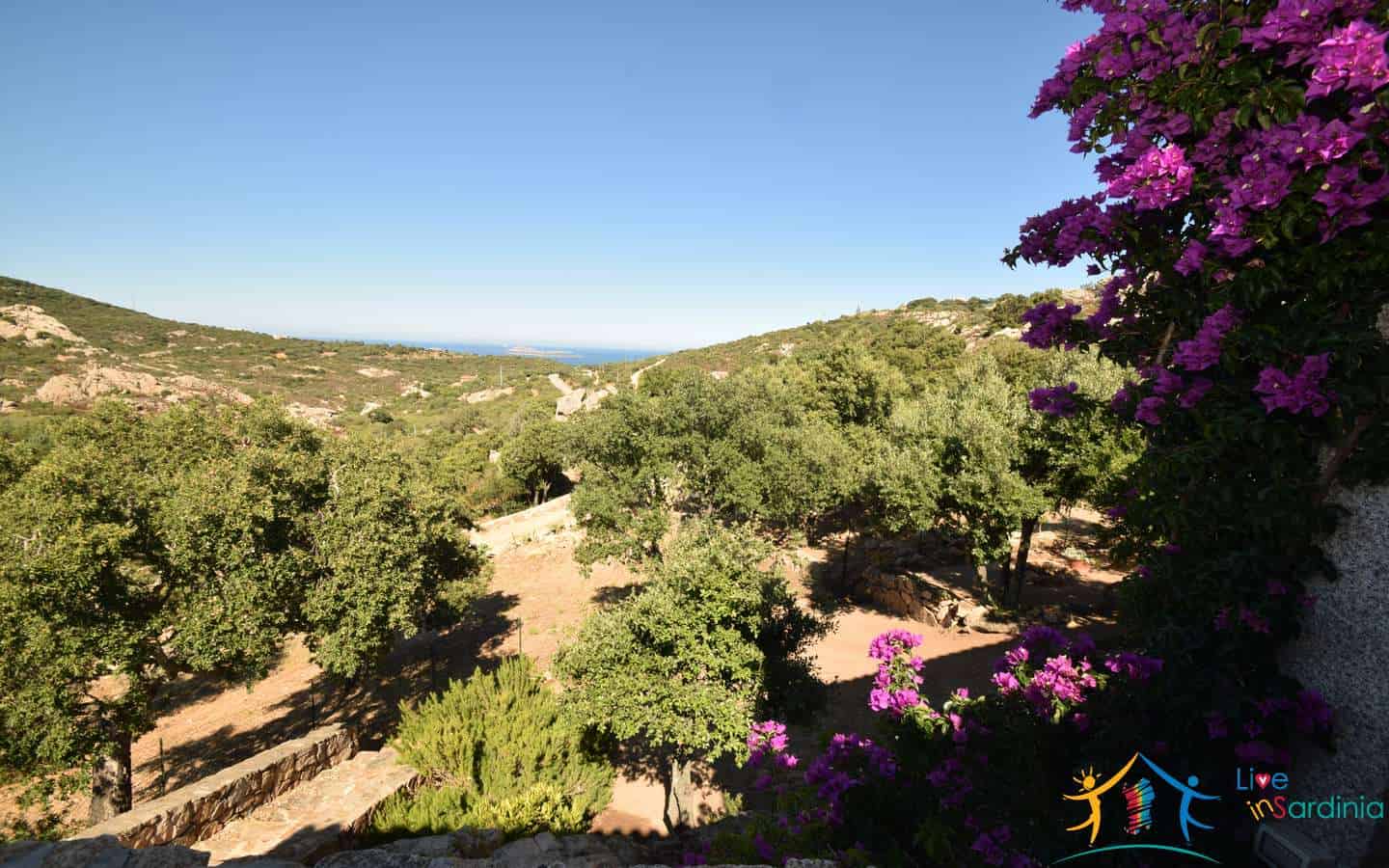 Find the best sea views villa in San Pantaleo Sardinia, Italy