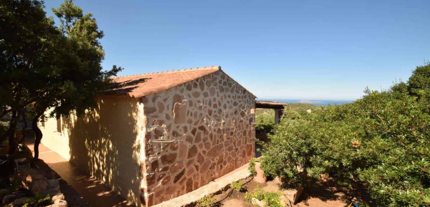 Sea View Villa For Sale In San Pantaleo Sardinia ref.Aglientina