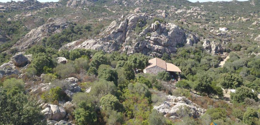 Sea View Villa For Sale In San Pantaleo Sardinia ref.Aglientina