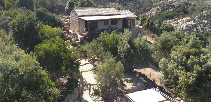 Sea View Villa For Sale In San Pantaleo Sardinia ref.Aglientina