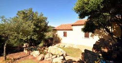 Sea View Villa For Sale In San Pantaleo Sardinia ref.Aglientina