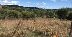 Charming Country Home For Sale In Sardinia ref Caldosa