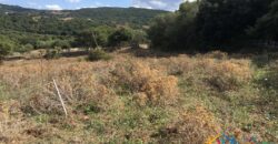 Charming Country Home For Sale In Sardinia ref Caldosa