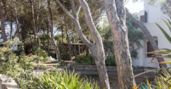 Villa For Sale Sardinia 100 Meters From The Beach.ref Maria