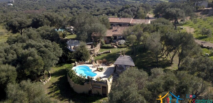 Superb Country Homes For Sale Porto Cervo Sardinia Ref. Mezaia