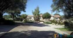 Magnificent Stazzu For Sale San Pantaleo Ref. Mezaia