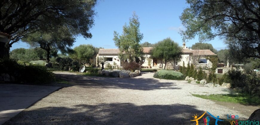 Superb Country Homes For Sale Porto Cervo Sardinia Ref. Mezaia