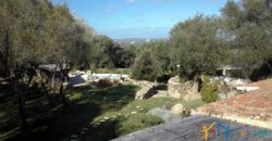 Find the best stazzu farmhouses cottages villas in San Pantaleo Sardinia